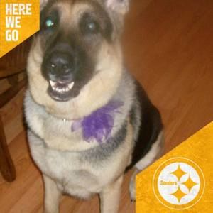 Meet your Posher, Nancy